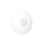 AX3000 Wi-Fi6 Long-Range Access Point